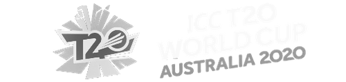Logo description